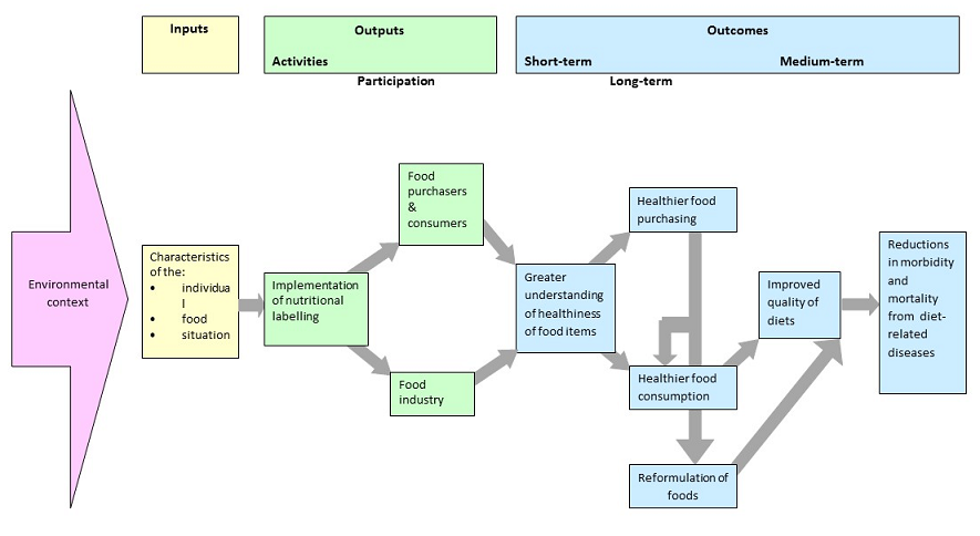 Logic model of the process by which nutritional labelling may have an impact on diets and health